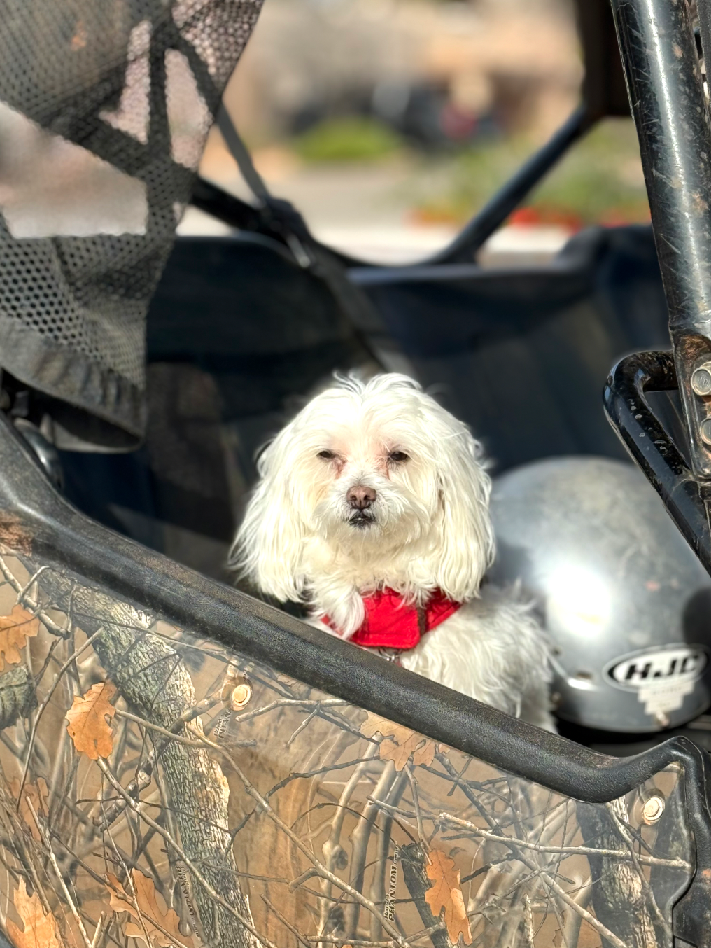 Self-guided UTV adventure in Sedona Arizona