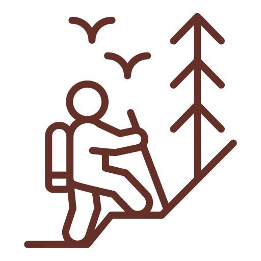 Hiking